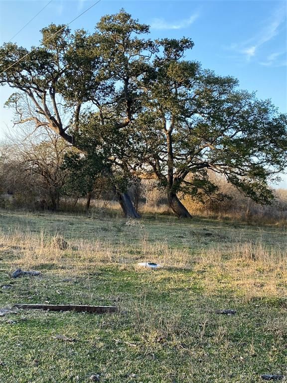 County Road 229 Buckner Prairie Rd, Cedar Lane, TX 77415