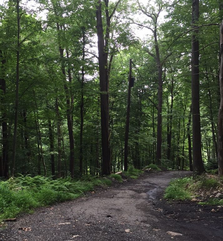 82 River Rd, Flanders, NJ 07836 Trulia