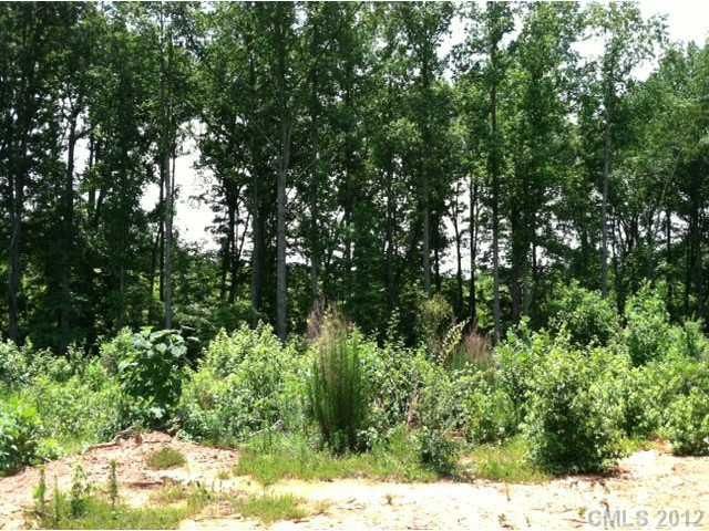 42.4 Autumn Leaf Rd #A, Troutman, NC 28166