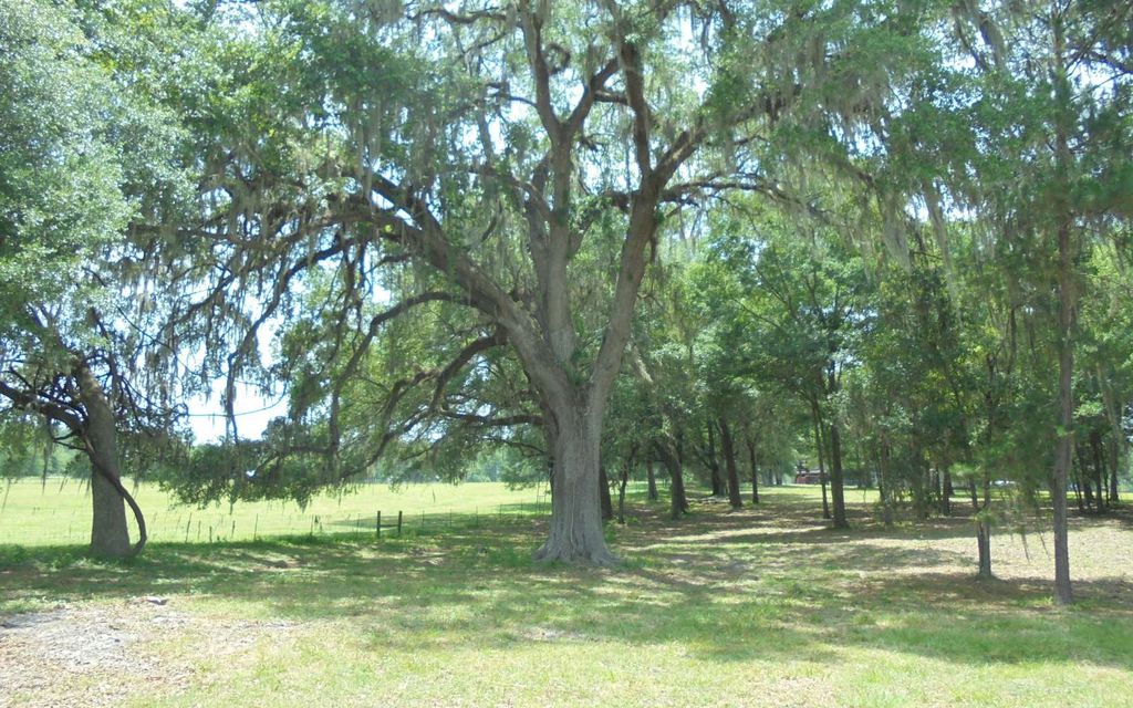 122nd St, Live Oak, FL 32060 Trulia