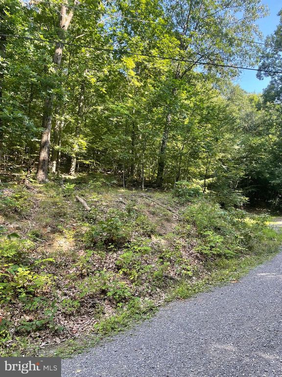 Lot 30 Shade Creek Ln, Shade Gap, PA 17255 MLS PAHU2022496 Trulia