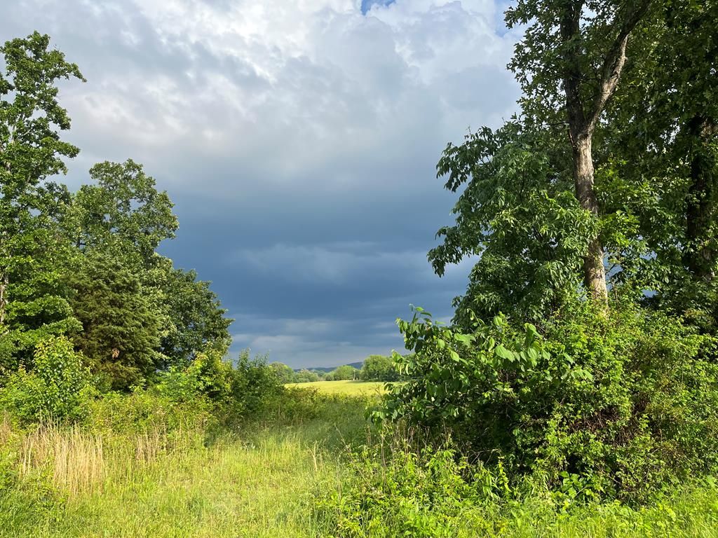 Tract 6 Cookeville Hwy, Rickman, TN 38580 Trulia