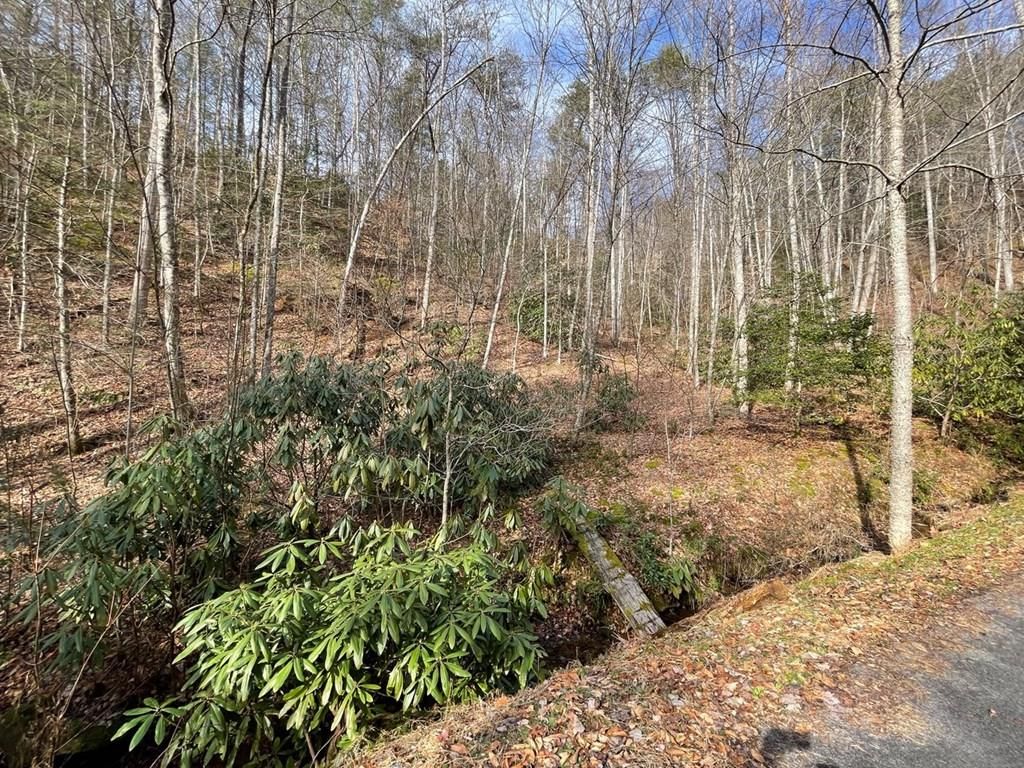 Lots 1 & 3 Sunshine Trl, Gatlinburg, TN 37738 Trulia