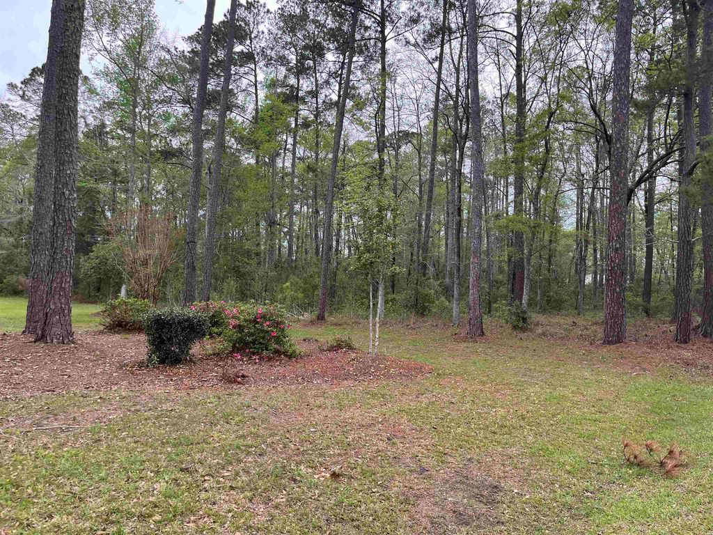Lot 5 S Persimmon Ford Rd, Johnsonville, SC 29555 MLS 2306003 Trulia