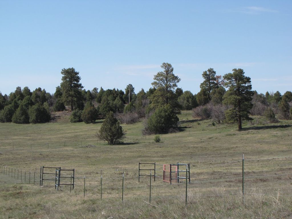 Tracts B & C Will, Chama, NM 87520 Trulia
