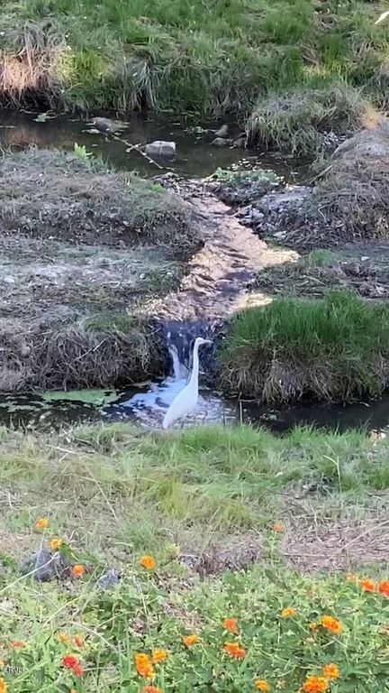 home health care laguna woods