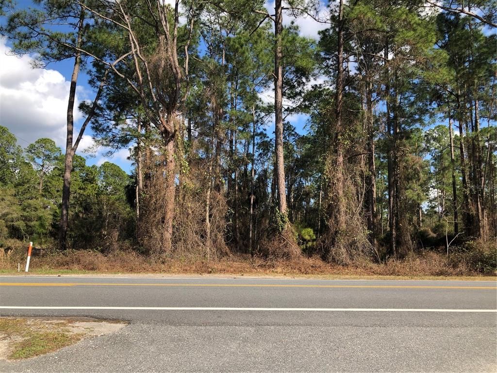 Lot 1 Royal Trails Rd, Eustis, FL 32736 Trulia