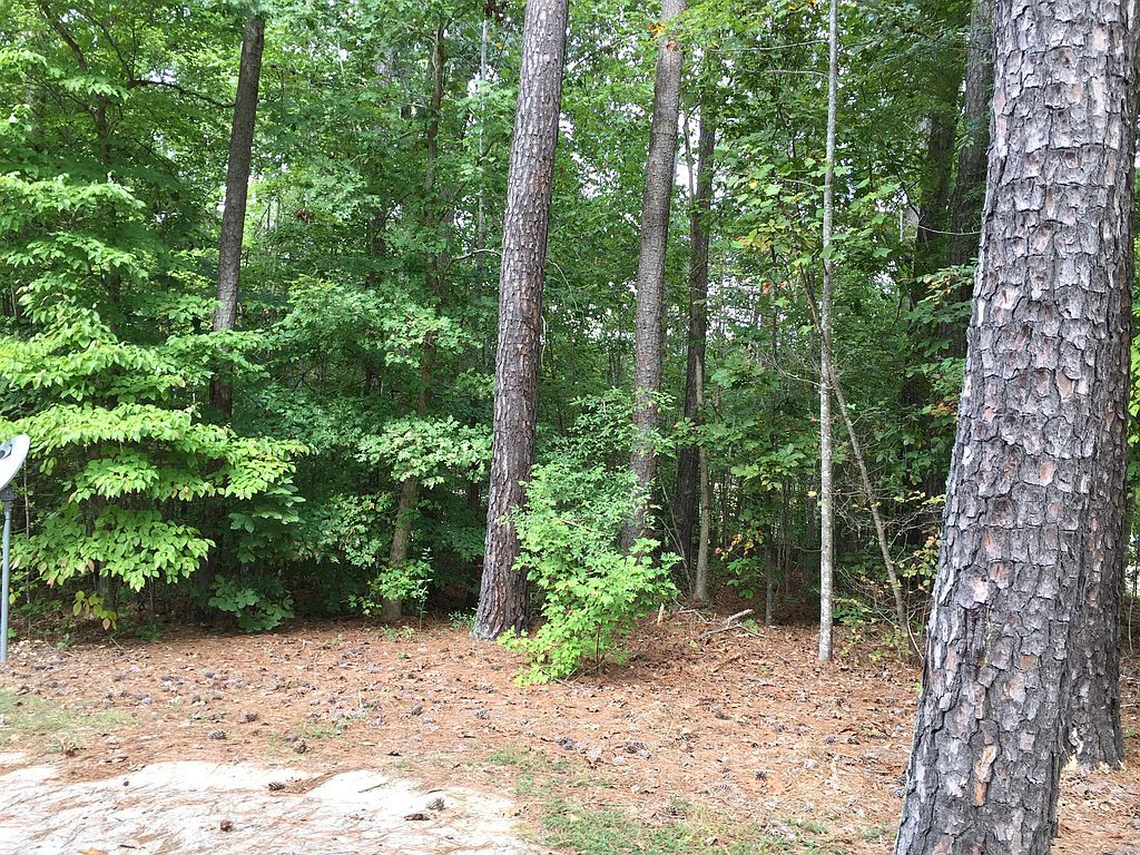 Virginia Lee Blvd, Blackstone, VA 23824 Trulia