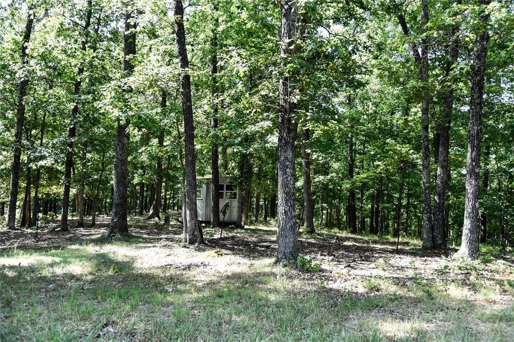 Highway Mm, Leasburg, MO 65535 Trulia