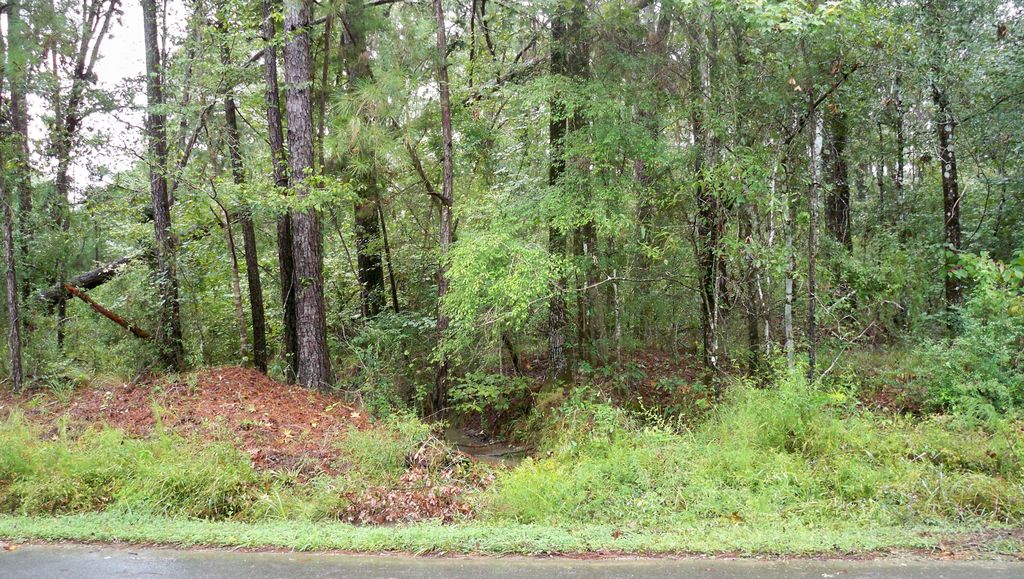 Ellis West Rd, Pitkin, LA 70656 Trulia