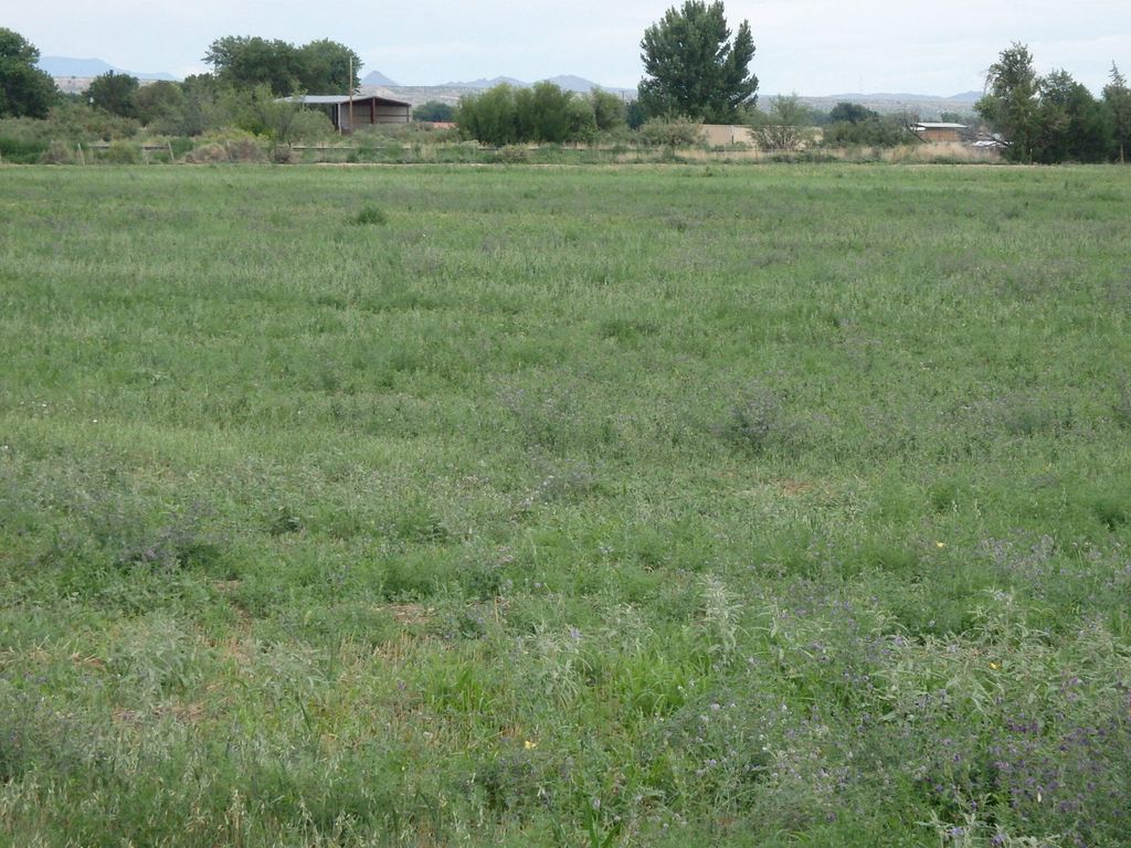 Luis Lopez Farm, Socorro, NM 87801