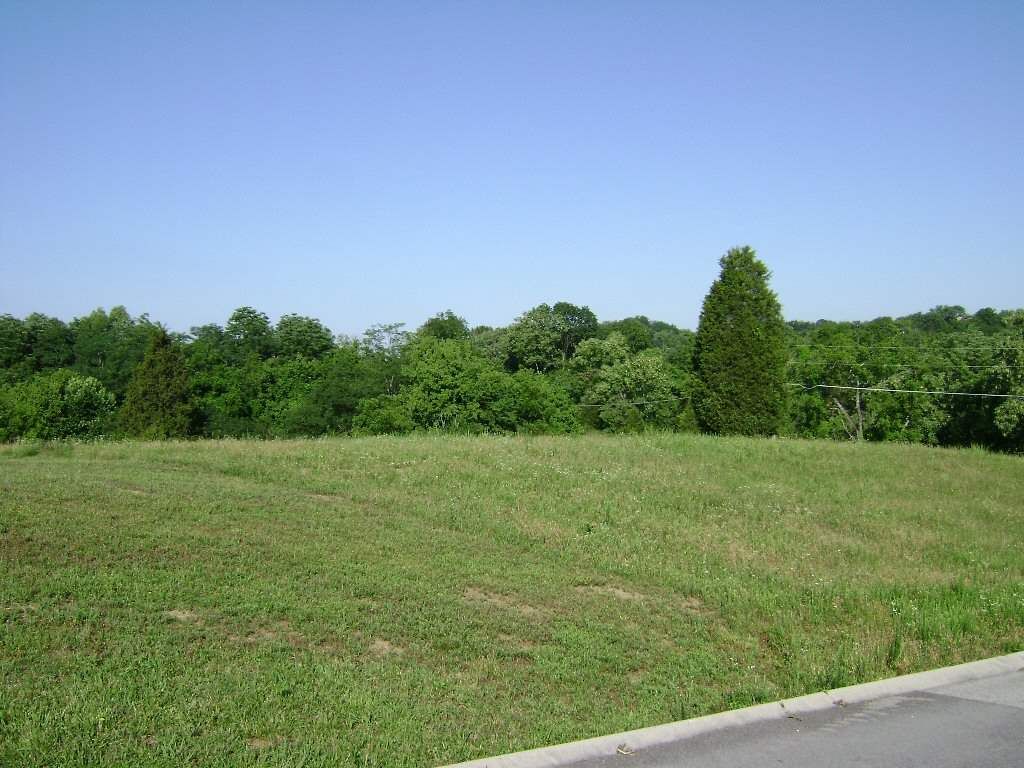 Lot 1 Corner Of Ferry Hill Road & Scenic Shores Dr, Dandridge, TN 37725