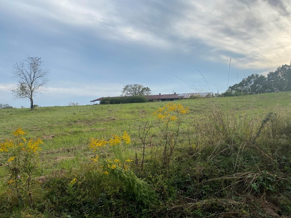 77 Dairy Barn Rd, Laurel, MS 39443 Trulia