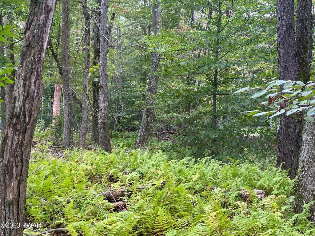 Elk Lake Dr, Waymart, PA 18472 MLS PW233145 Trulia