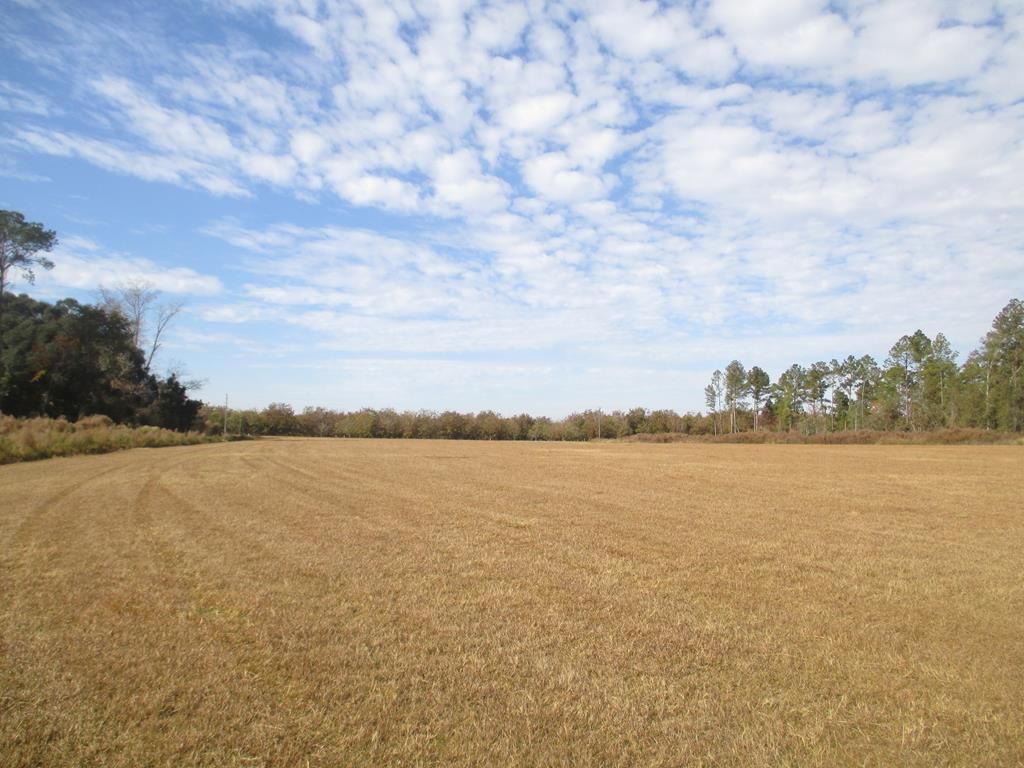 2074A Old Valdosta Rd, Ray City, GA 31645 Trulia