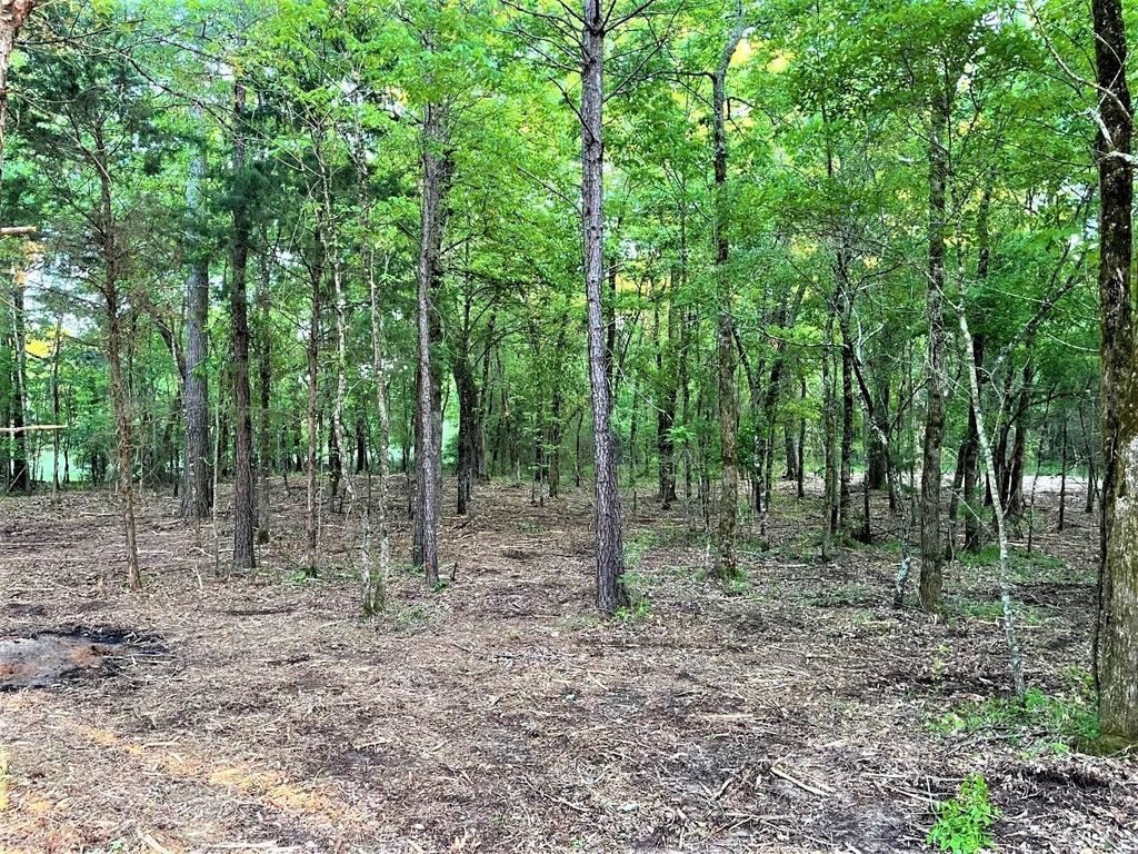 8.891 Acres Cres 3108, New Boston, TX 75570 Trulia