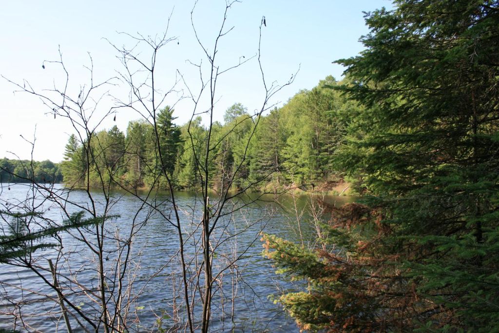 Sucker Lake Rd 6B, Watersmeet, MI 49969 MLS 196969 Trulia