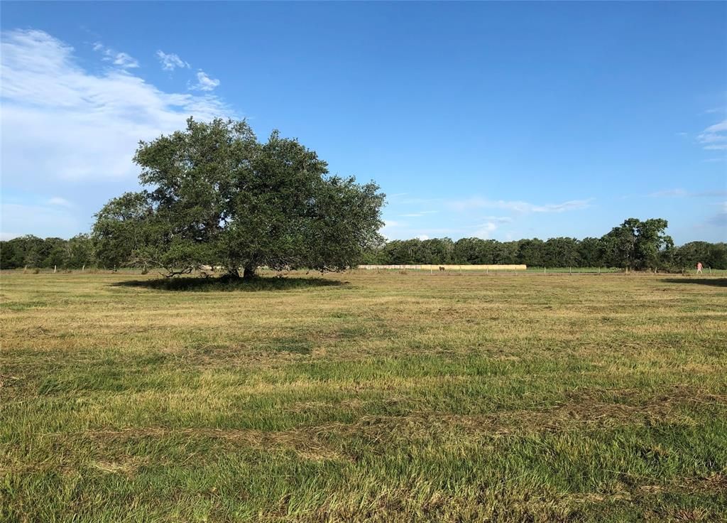 Lot 9 Pvt 1671, Hallettsville, TX 77964 MLS 22712630 Trulia