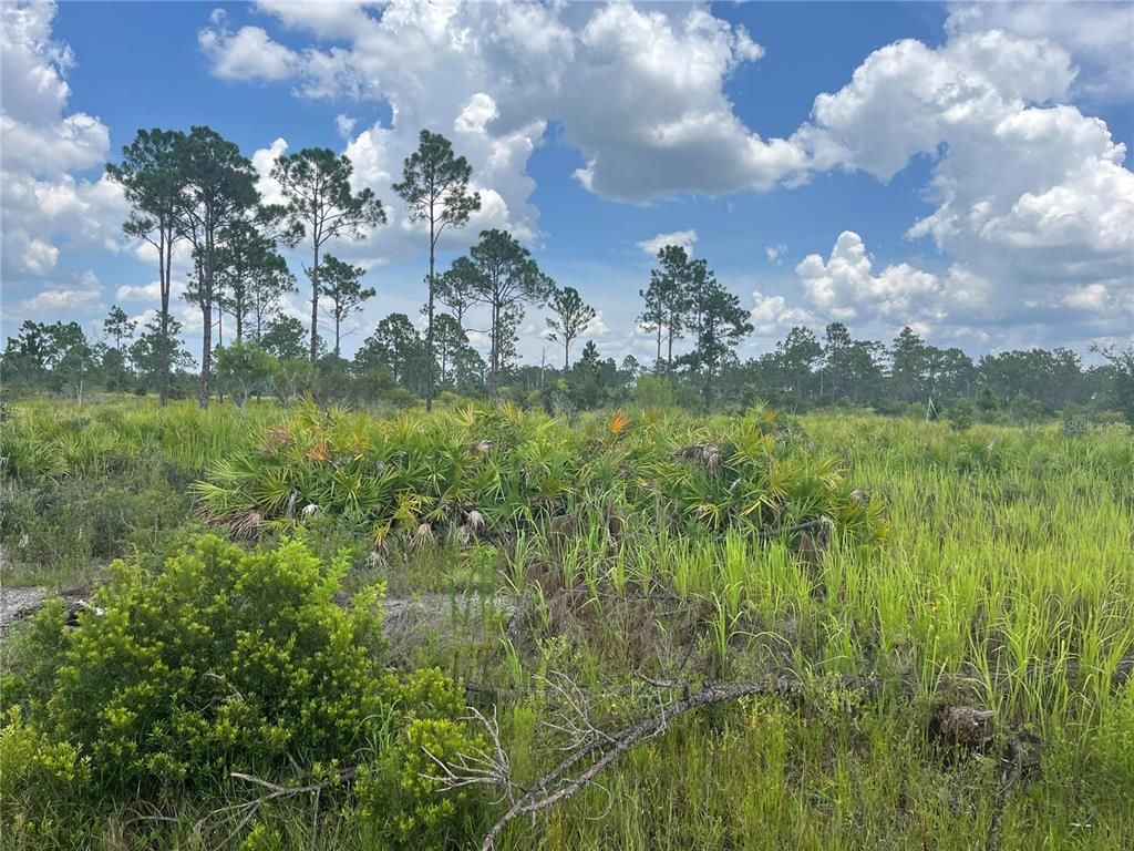 7936 Granada Blvd #7, Sebring, FL 33872