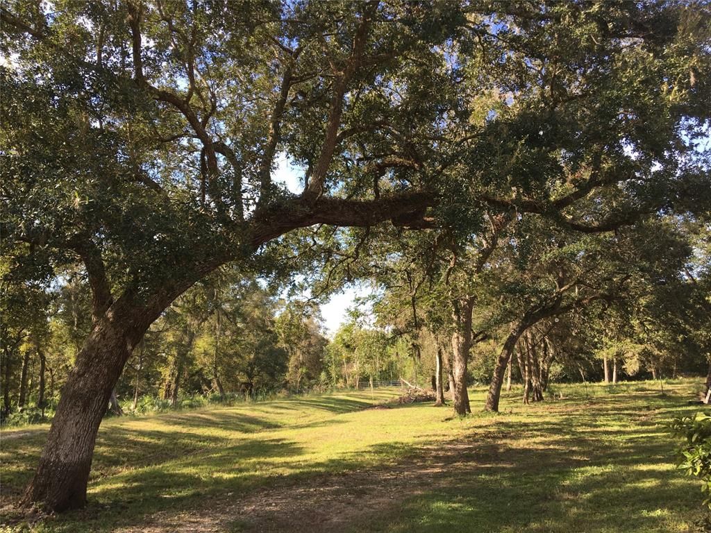 218 Private Road 535, Sweeny, TX 77480
