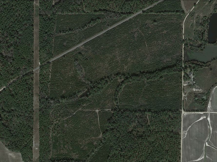 Pineview pitts Hwy, Pineview, GA 31071 Trulia