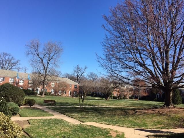 10F Auburn Ct #10-F, Alexandria, VA 22305