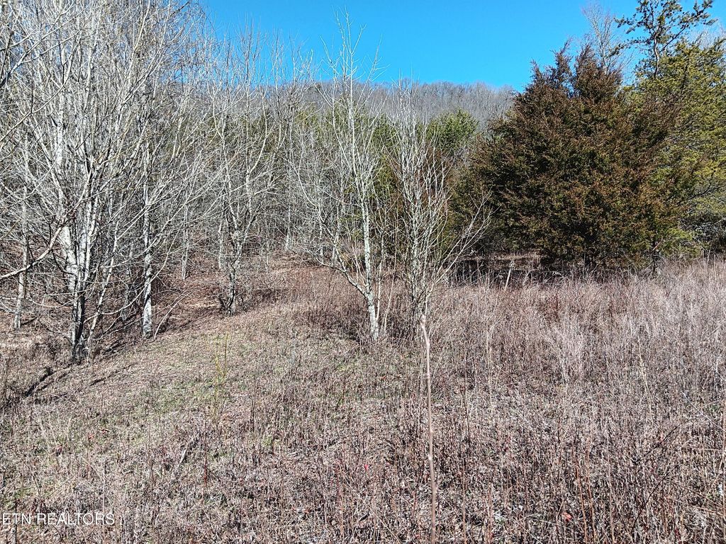 Crackers Neck Rd, Washburn, TN 37888 Lot/Land for Sale MLS 1253862