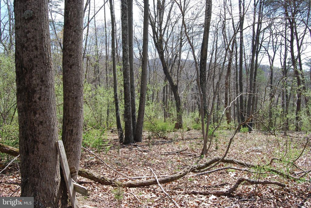 Lot 32 Harnest Hills Ln, Great Cacapon, WV 25422