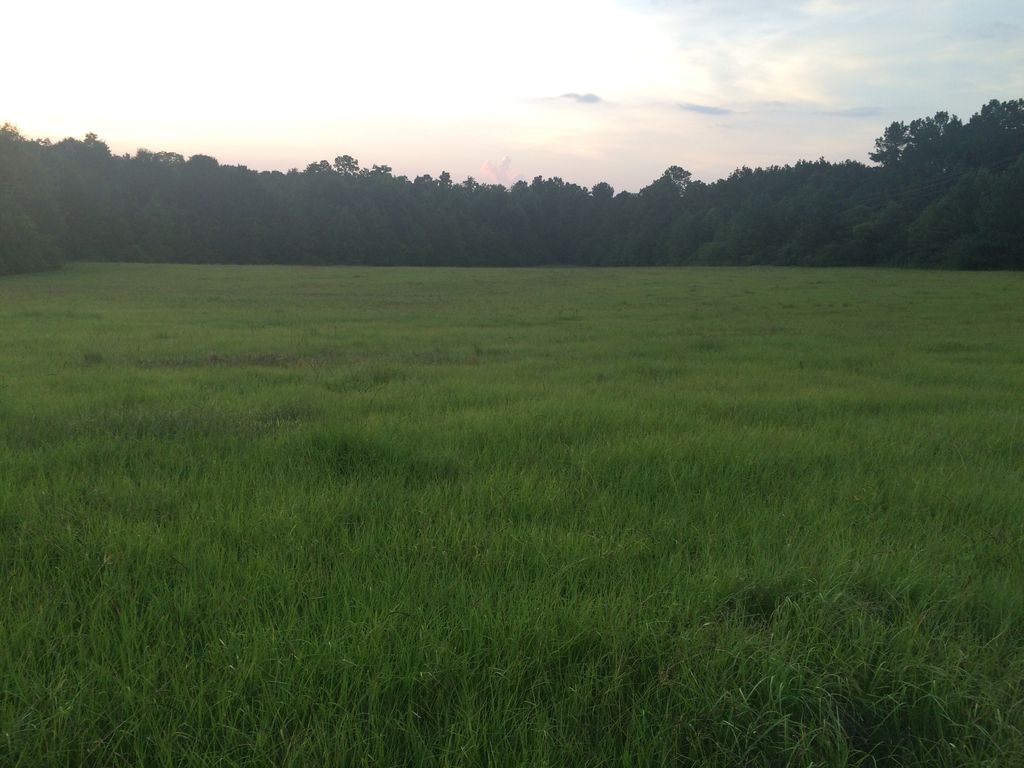 Highway 40, Folsom, LA 70437 Trulia