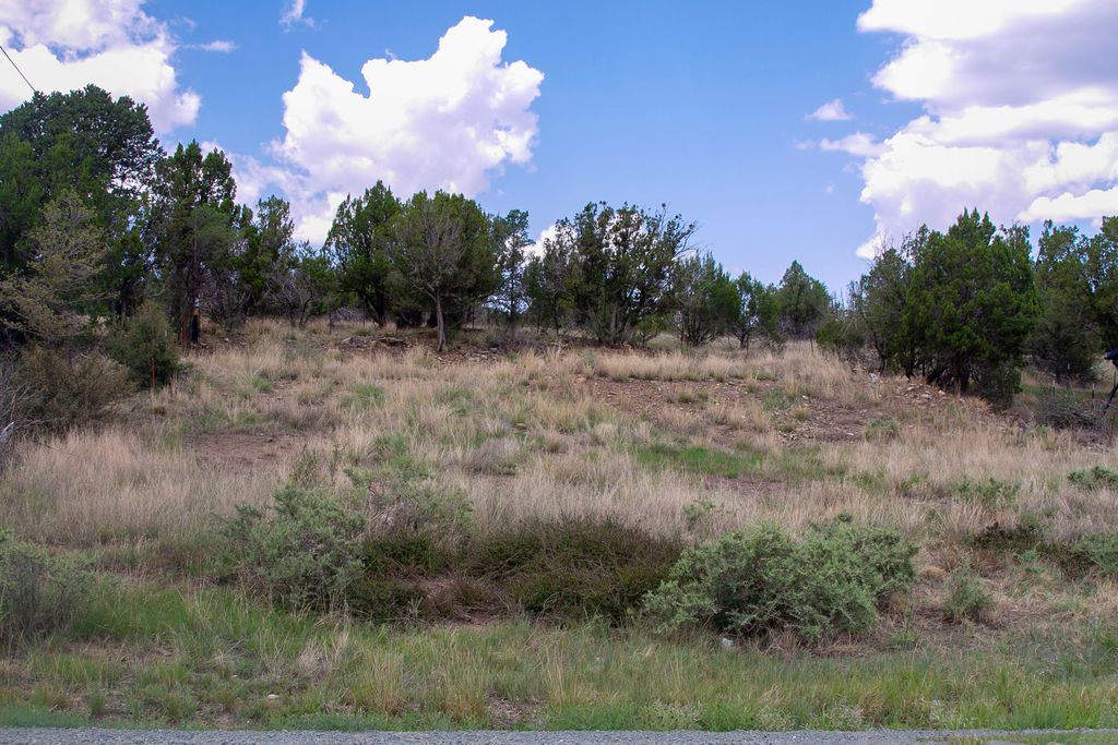 686 Mount Capitan Rd, Capitan, NM 88316 Trulia