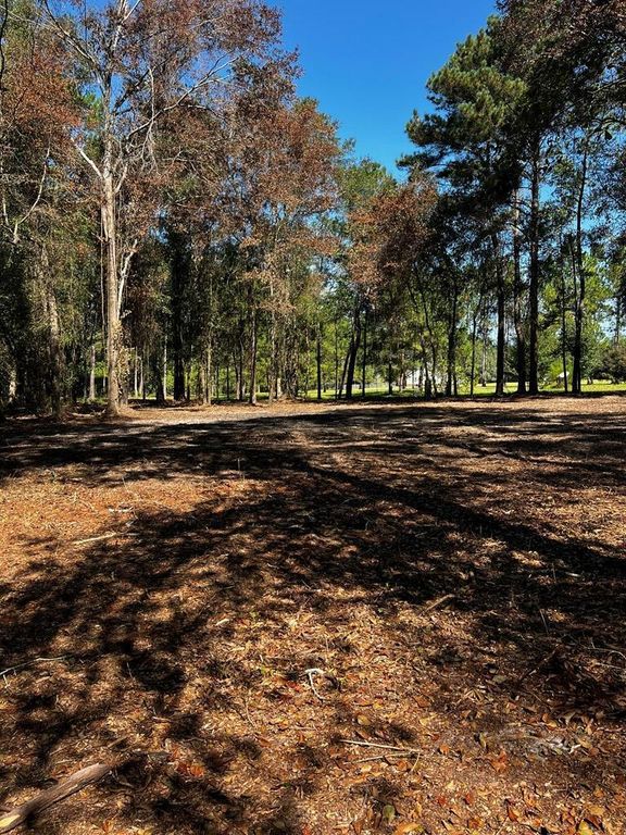 804 Glynn Willis Rd, Meigs, GA 31765 MLS 12138 Trulia