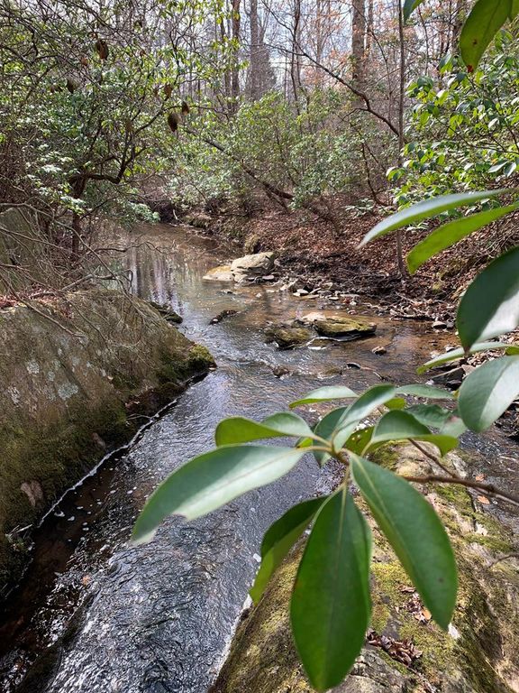 Walkers Ln, Chase City, VA 23924 Trulia