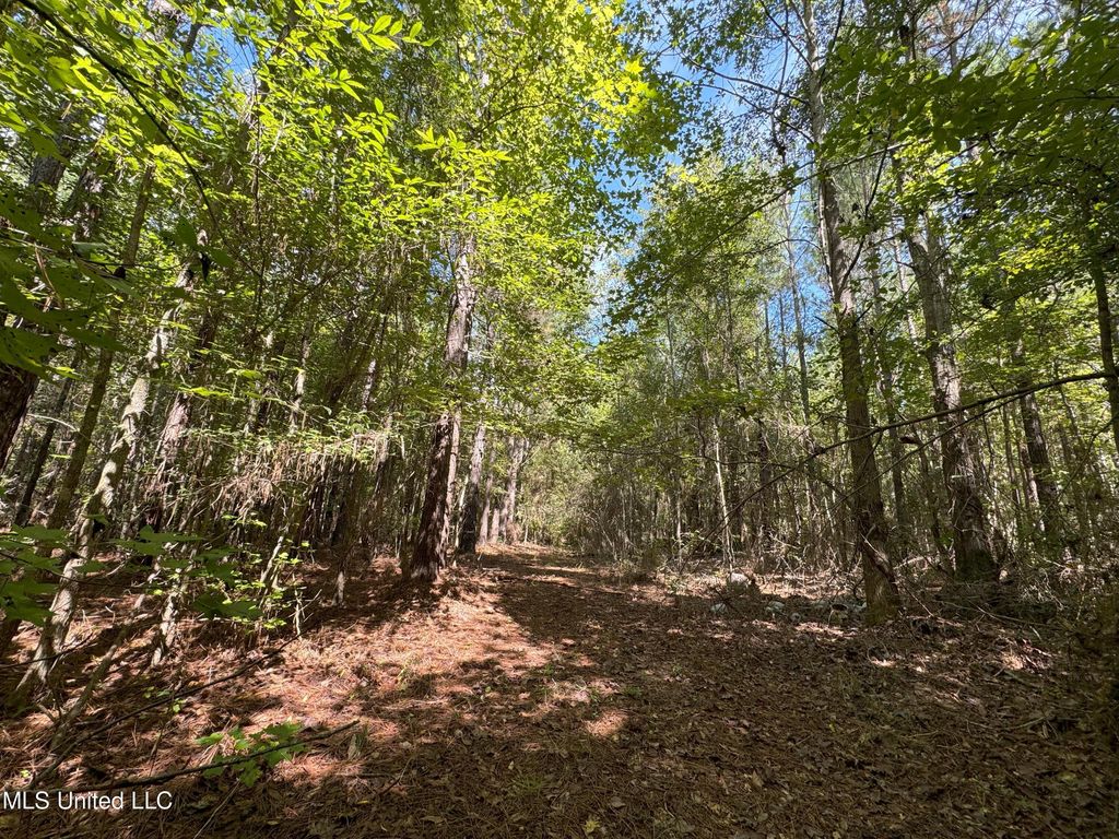 State Highway 18, Rose Hill, MS 39356 MLS 4092618 Trulia