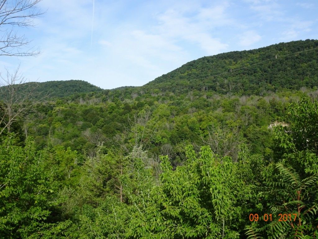 101 Collins Ave, Bellefonte, PA 16823 Trulia