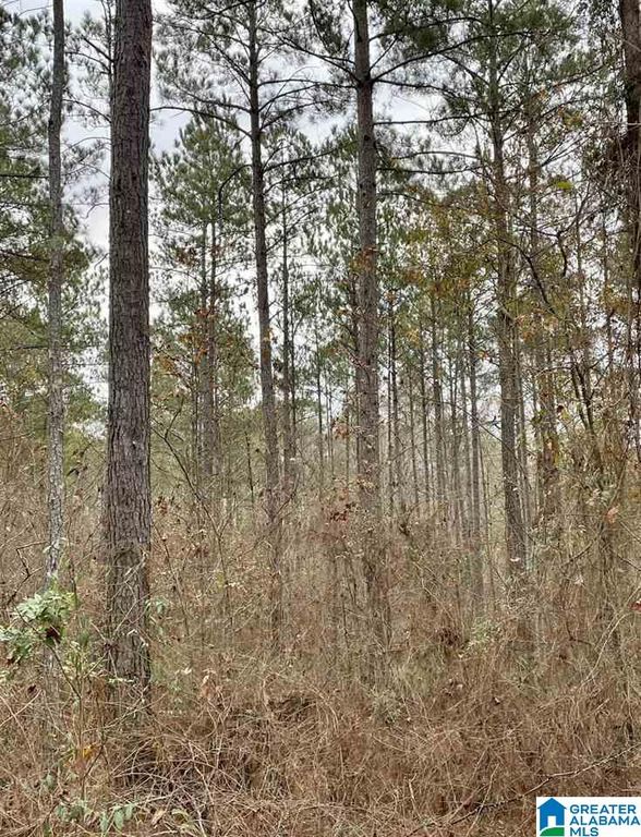 Old Wadley Rd 80, Daviston, AL 36256 Trulia