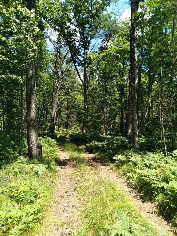 20 M, White Cloud, MI 49349 Trulia