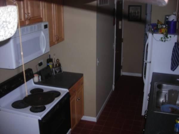 1617 Maple Ter, Lisle, IL 60532
