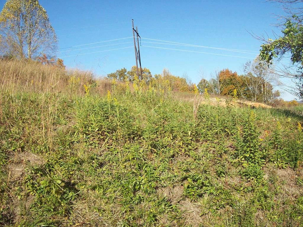 Collingsworth Rd, Sneedville, TN 37869 Trulia