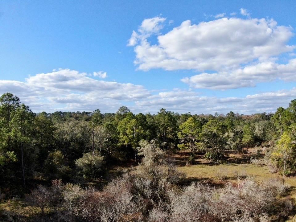 235th St, Cross City, FL 32628 Trulia