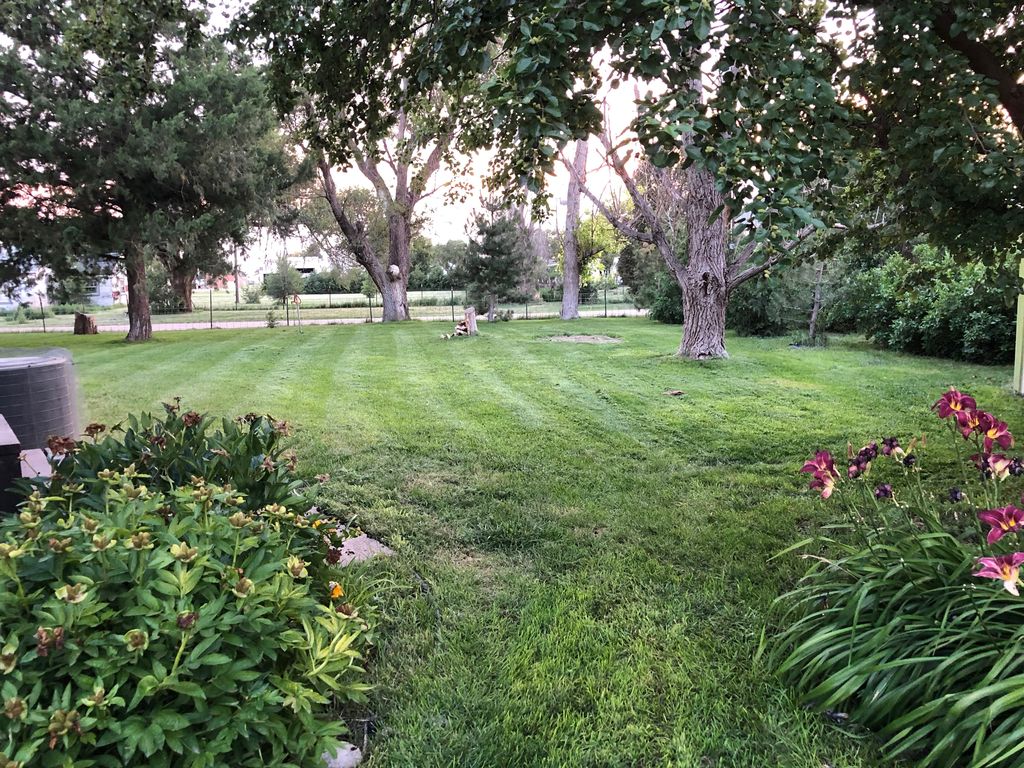 301 Locust St, Kanorado, KS 67741 Trulia