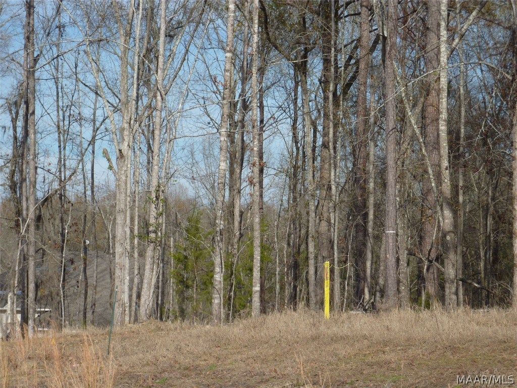 Lot 1 Doe Run Ct, Pike Road, AL 36064 MLS 461395 Trulia