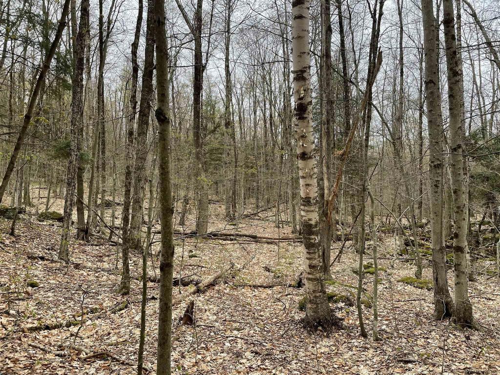 00 COUNTY RT 404, Westerlo, NY 12193 Trulia