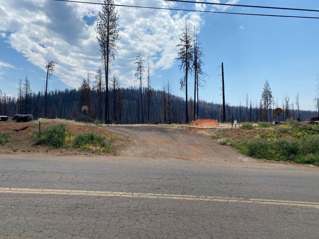 10196 Grizzly Flat Rd, Grizzly Flats, CA 95636 Trulia