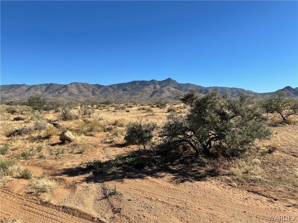 Romanov Rd, Chloride, AZ 86431 Trulia