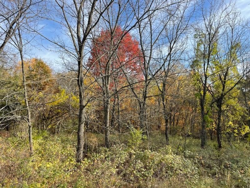 11 Royal Oaks Estate Ln, Harpers Ferry, IA 52146 Trulia