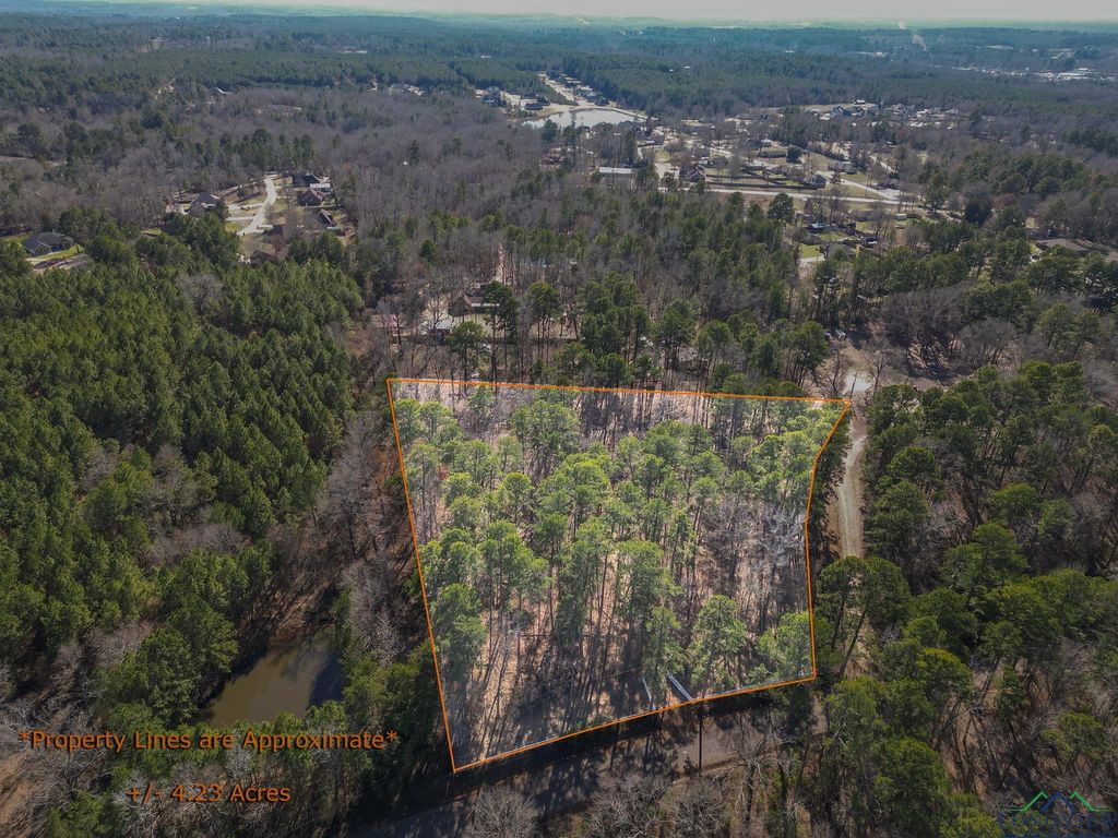 Spider Lily Rd, Diana, TX 75640 MLS 20240807 Trulia