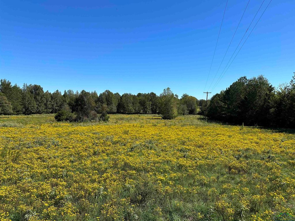 24 E Highway 49, Jefferson, TX 75657 MLS 20237312 Trulia