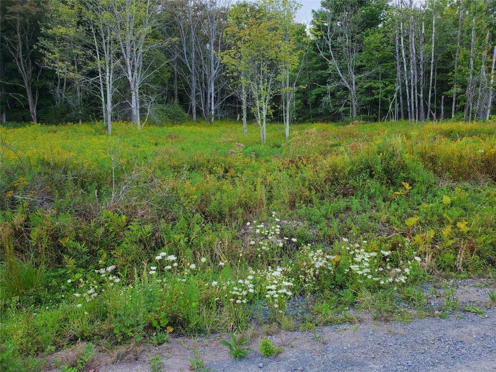 Forest Lake Rd, Montrose, PA 18801 Trulia