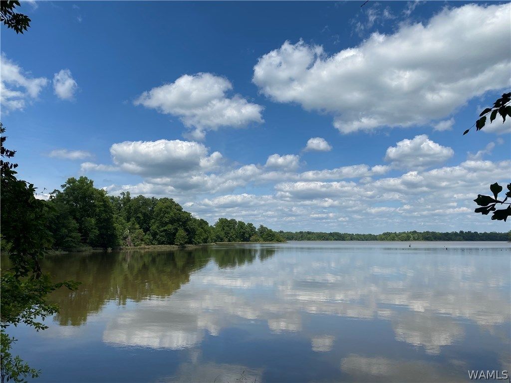 46 Black Warrior Bay, Akron, AL 35441 Trulia