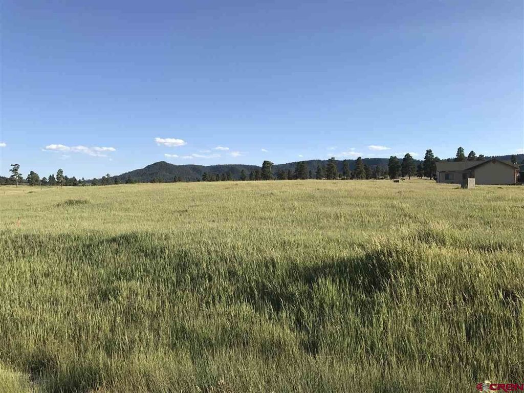 15 Paisley Ct, Pagosa Springs, CO 81147